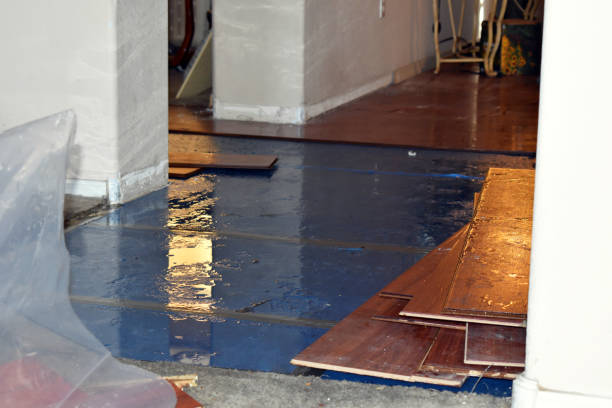 Professional Sewage Cleanup technician working in Huntsville, TX